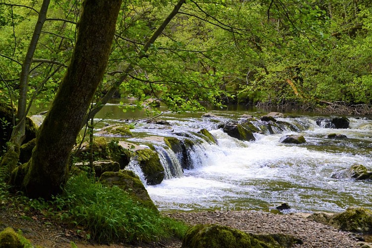 La Chartreuse Port-Sainte-Marie_Les Ancizes-Comps