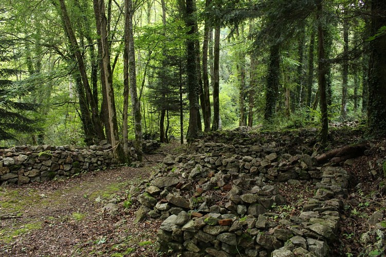 La Chartreuse Port-Sainte-Marie_Les Ancizes-Comps