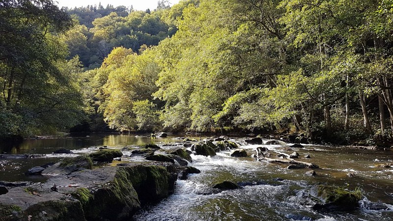 La Chartreuse Port-Sainte-Marie_Les Ancizes-Comps