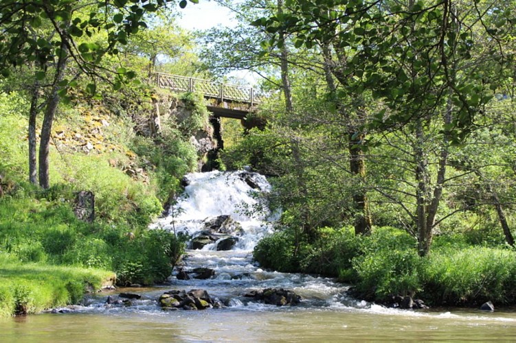 Montfermy la Sioule - Les balades de Léa et Tino