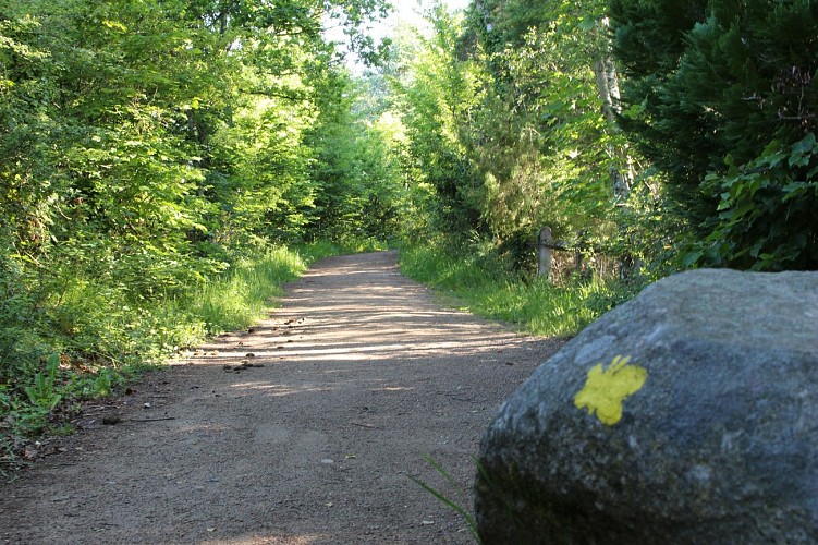 Le gour de Tazenat - Les balades de Léa et Tino_Charbonnières-les-Vieilles