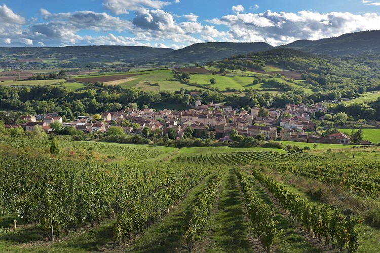 Villeneuve, Boudes, Chalus_Villeneuve
