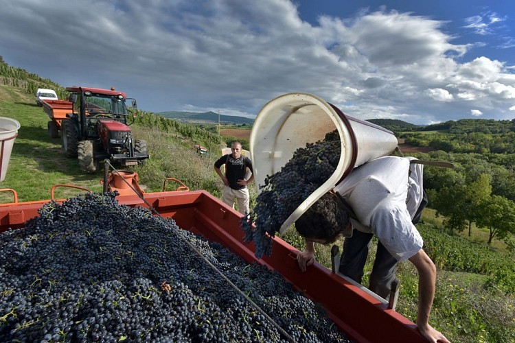 Boudes - Domaine Annie Charmensat