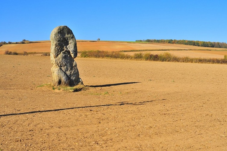 The Stone Fichade