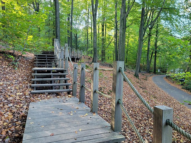 Le Sentier forestier transfrontalier