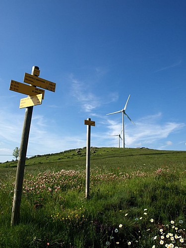 La chapelle de Roche-Charles