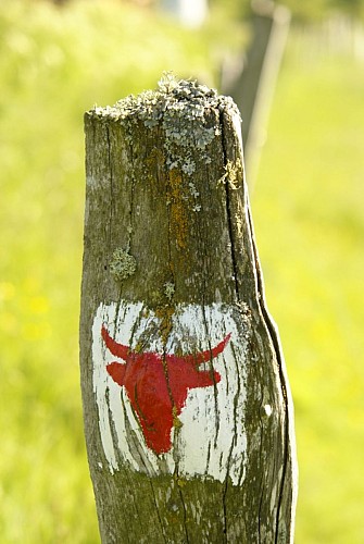 La chapelle de Roche-Charles