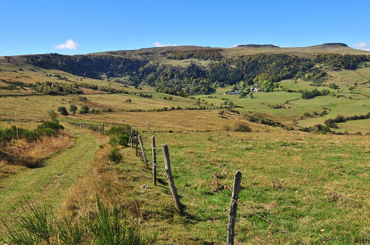 The Signal of the Luguet