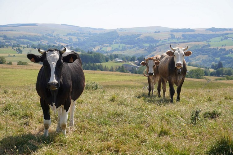 Egliseneuve-d'Entraigues