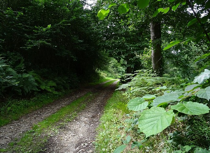 Randonner dans l'Orne