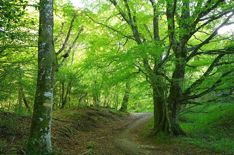 Les roches Tuilière et Sanadoire