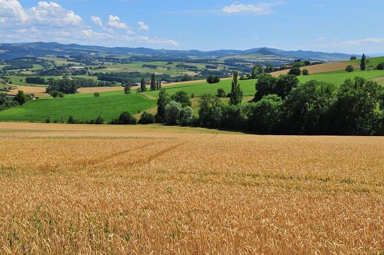 Saint-Babel de fontaines en lavoirs