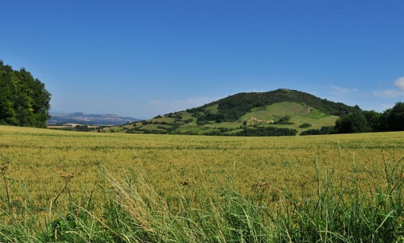 The Citadel of Buron