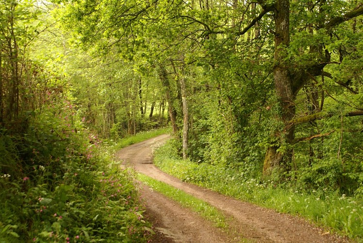 Le tour du pays de Cunlhat