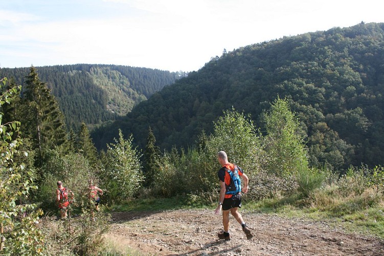 Malmedy 03 - La piste des Celtes