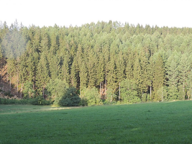 Malmedy 03 - La piste des Celtes