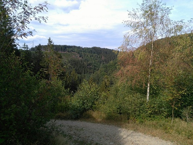 Malmedy 03 - La piste des Celtes