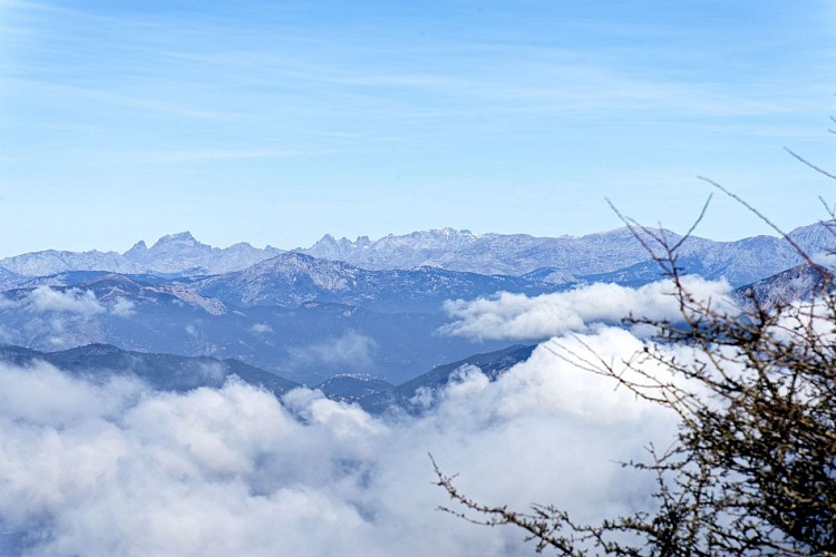 Tafonatu, Paglia Orba, Cinto