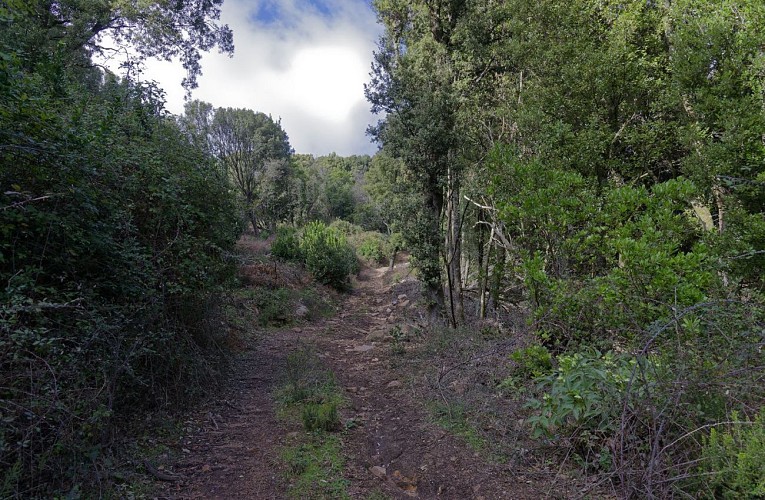 Chemin après le Mare a Mare