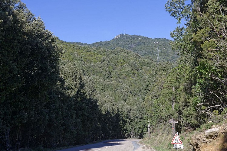 Objectif en vue au départ