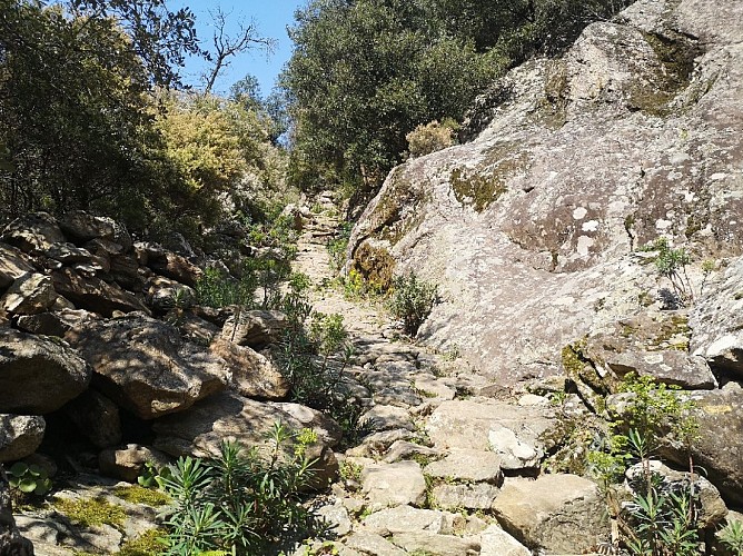 ESPACE TRAIL MONTAGNES DU CAROUX - PARCOURS 4 - LES BALCONS DU CAROUX