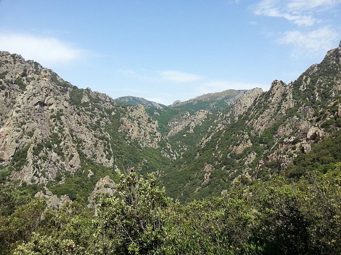 ESPACE TRAIL MONTAGNES DU CAROUX - PARCOURS 4 - LES BALCONS DU CAROUX