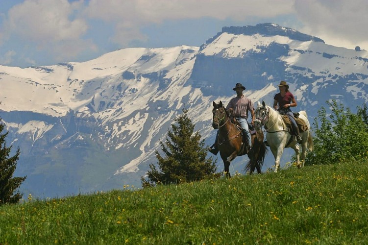 Itinéraire équestre : Boucle du Pelly