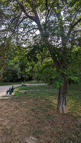 Urban stroll: a veritable green corridor between the Saint-Giniez, Bonneveine and Mazargues districts