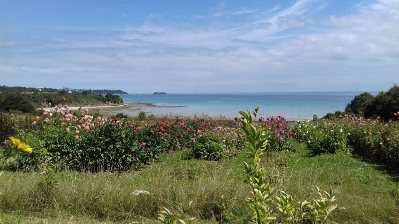 1- GR34 ... St Meloir des Ondes --> Cancale --> Pointe du Grouin