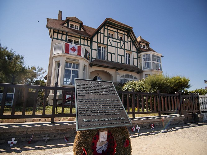 kinaï-et-compagnie-dog-friendly-chien-crédit-alexandra-lefol (51)