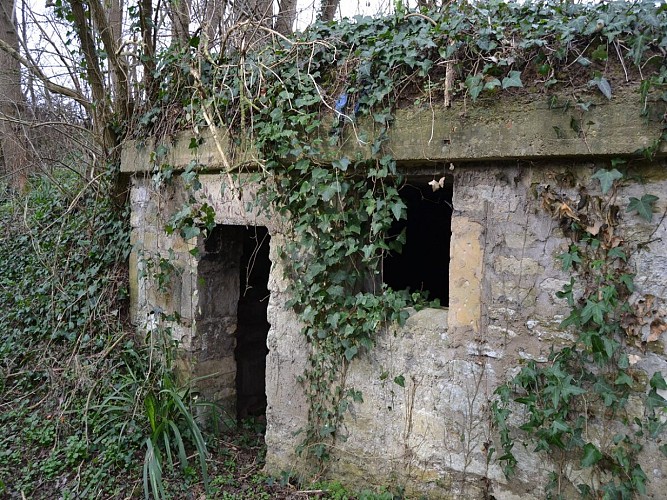 le-bois-de-la-tombette-vestiges-allemands-bernieres-sur-mer-credit-oceane-kreutz (1)