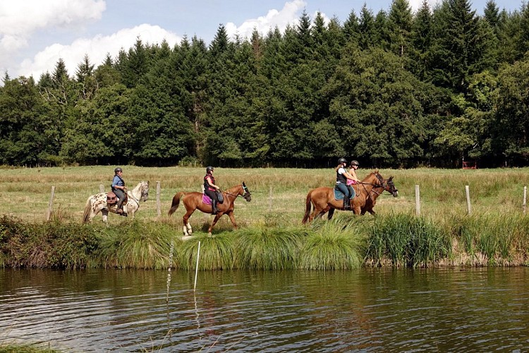 2022 equicazine MAT 2