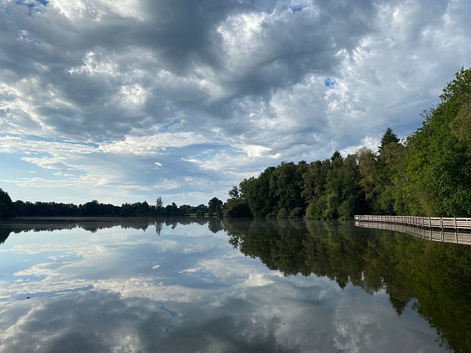 DONTREIX_Etang Neuf_MCA