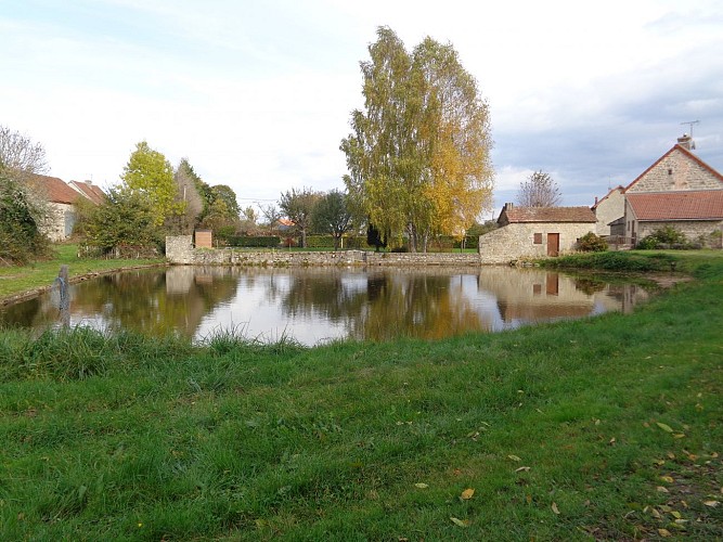 CHARRON_Etang de Charronnet ©CHARRON