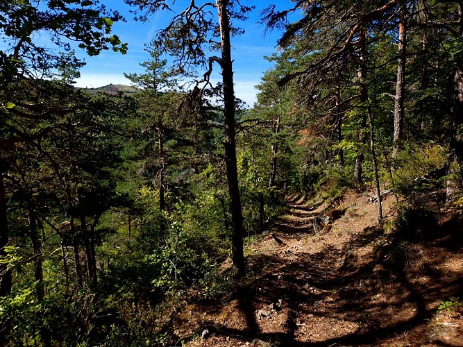 4-day hike: In the footsteps of local people_Lanuéjols