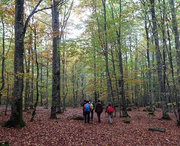 4-day hike: In the footsteps of local people_Lanuéjols