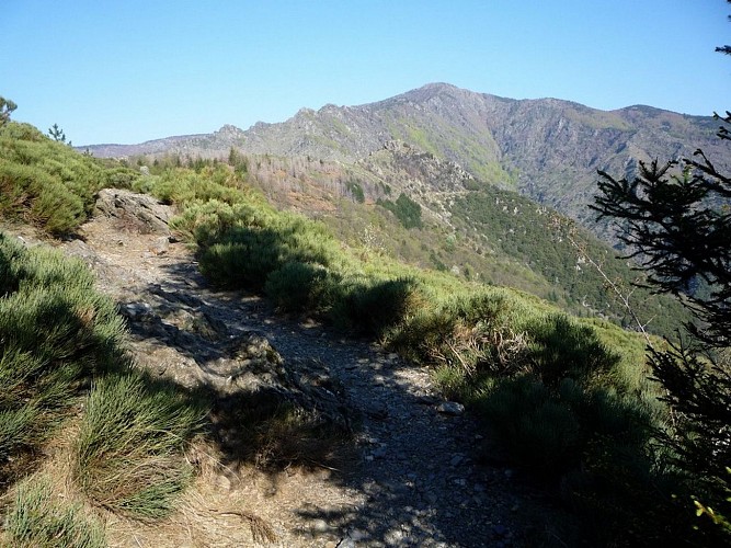 4-day hike: In the footsteps of local people_Lanuéjols