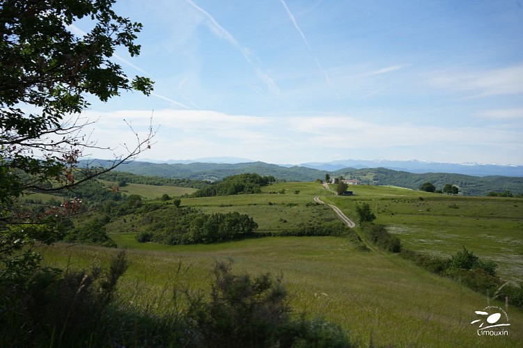 sentier panoramique 