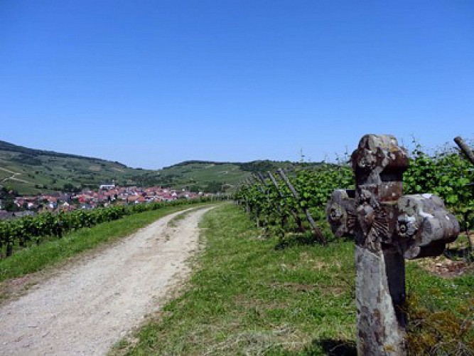 Westhalten : Vignoble et collines sèches