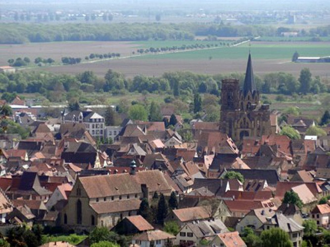 Rouffach : Promenade du Grand Cru Vorbourg