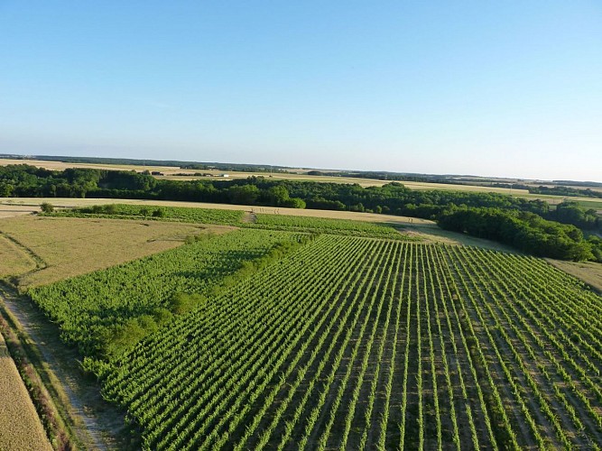 Randonnée à Houssay