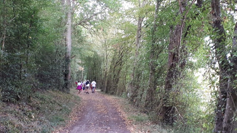 Randonnée à Houssay