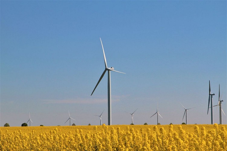 Circuit au gré des éoliennes à Moisy