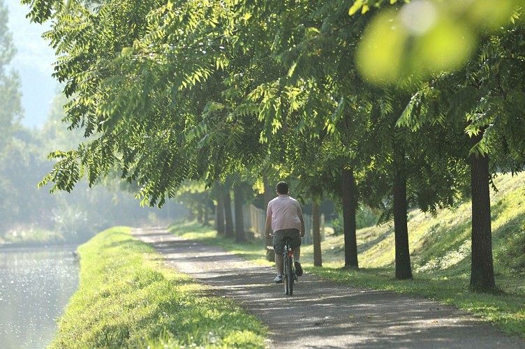 Vélo au bord du canal Nivernais à Clamecy