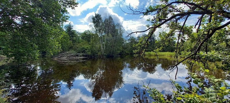 Domaine de la Solitude