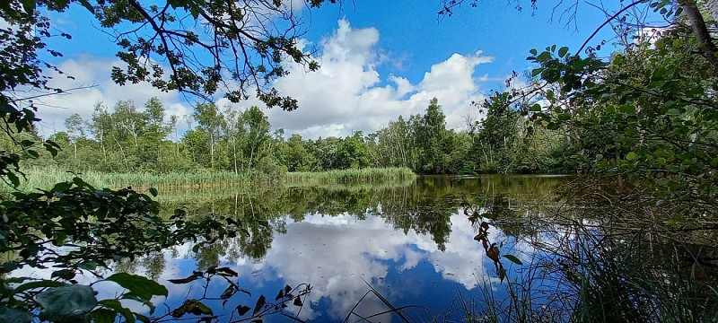 Domaine de la Solitude III