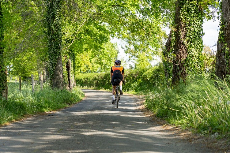 Cycliste en sous bois près du château de Montal