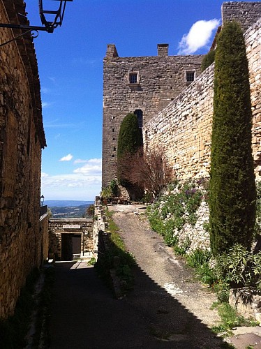 Chateau de Caseneuve