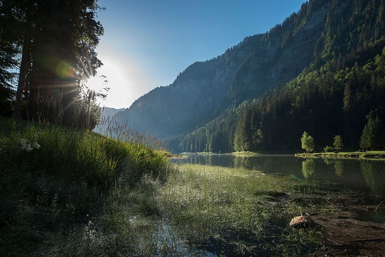 Le Lac de Montriond