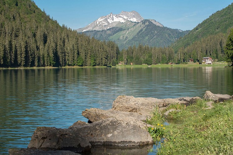 Le Lac de Montriond